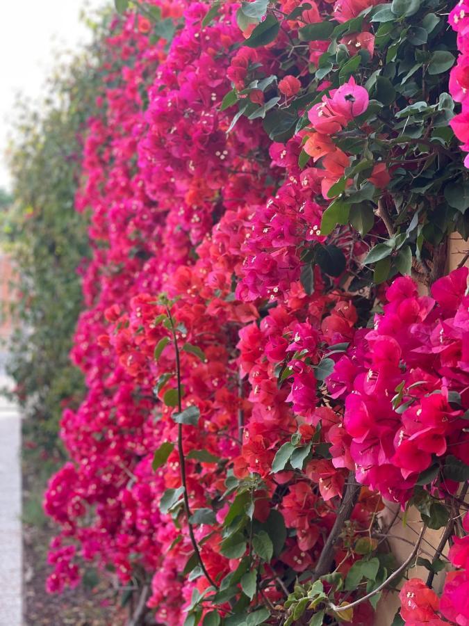 Holiday home Bougainville