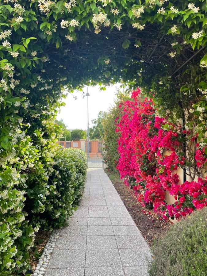 Bougainville Holiday home San Vincenzo